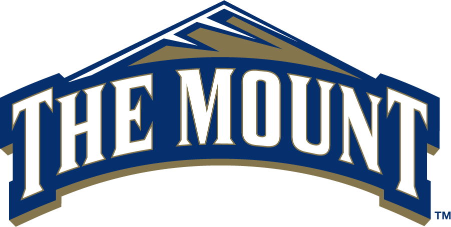 Mount St. Marys Mountaineers 2006-2016 Primary Logo diy iron on heat transfer